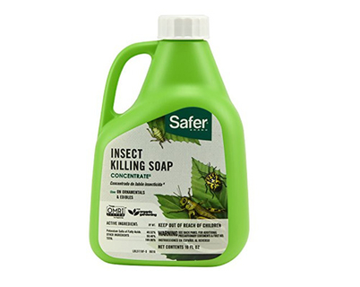 10l Miticide Bottle